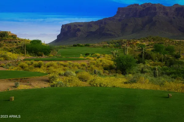 $10,000 | 6298 South La Paloma Court, Gold Canyon, AZ 85118