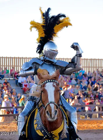 $10,000 | 6298 South La Paloma Court, Gold Canyon, AZ 85118