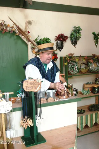 $10,000 | 6298 South La Paloma Court, Gold Canyon, AZ 85118