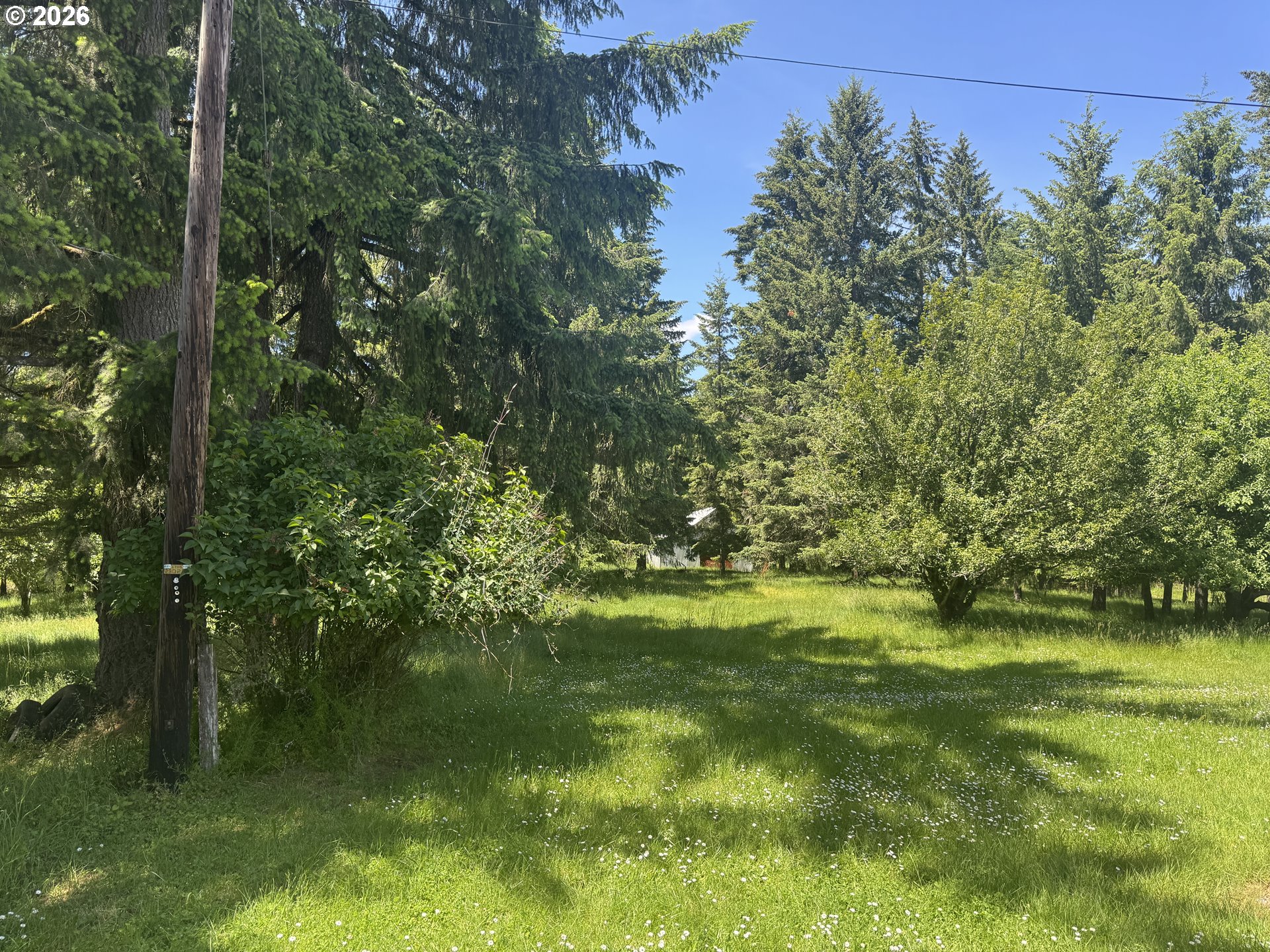 25647 Jeans Road Veneta, OR 97487 - Photo 32 of 32