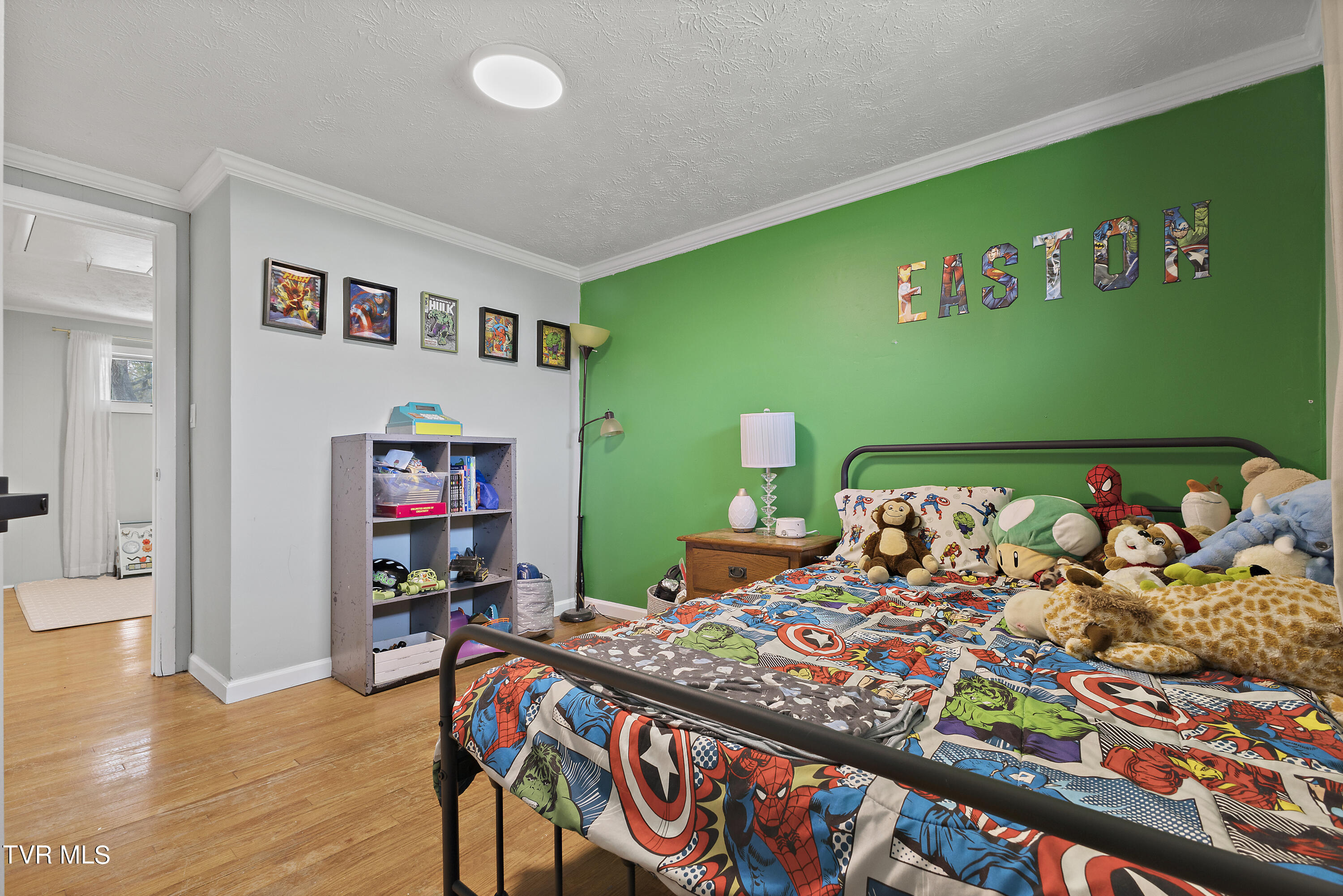 129 Lake Drive Gray, TN 37615 - Photo 23 of 39 128A9033