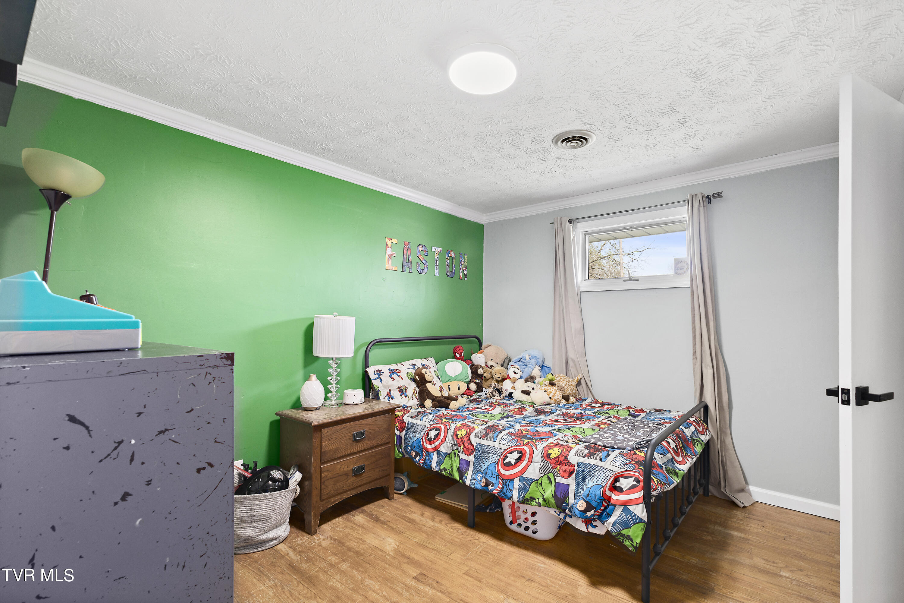 129 Lake Drive Gray, TN 37615 - Photo 24 of 39 128A9029