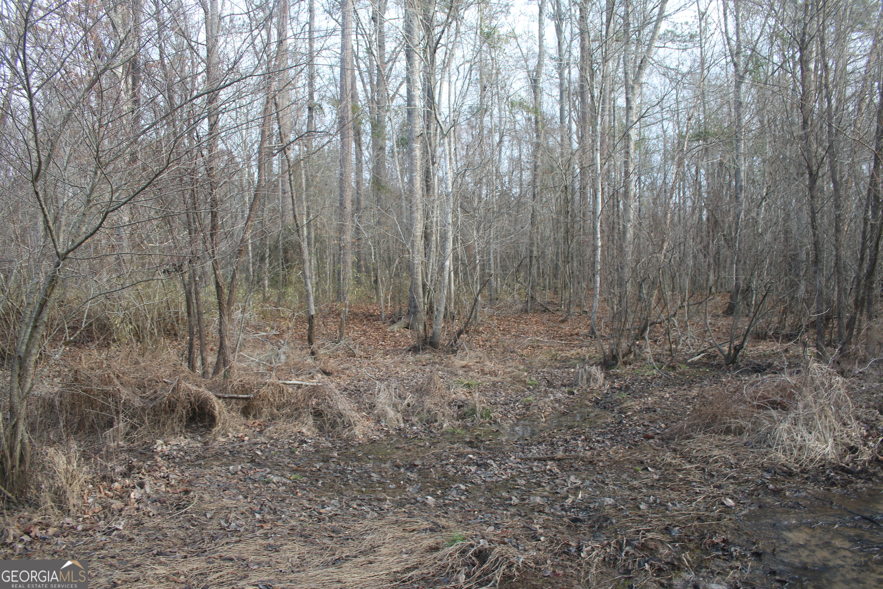 0 Upper Big Springs Road LaGrange, GA 30241 - Photo 13 of 21