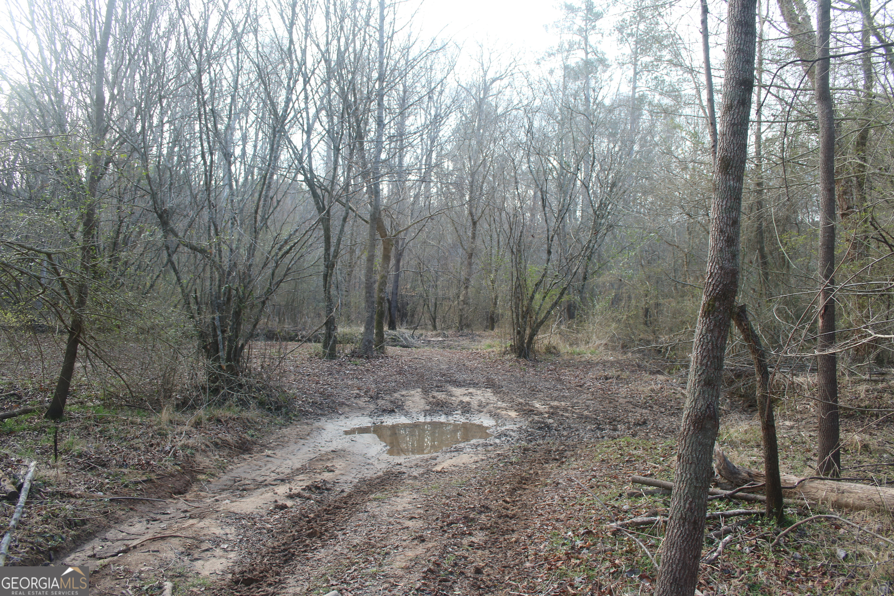 0 Upper Big Springs Road LaGrange, GA 30241 - Photo 16 of 21 a view of a forest with trees in the background