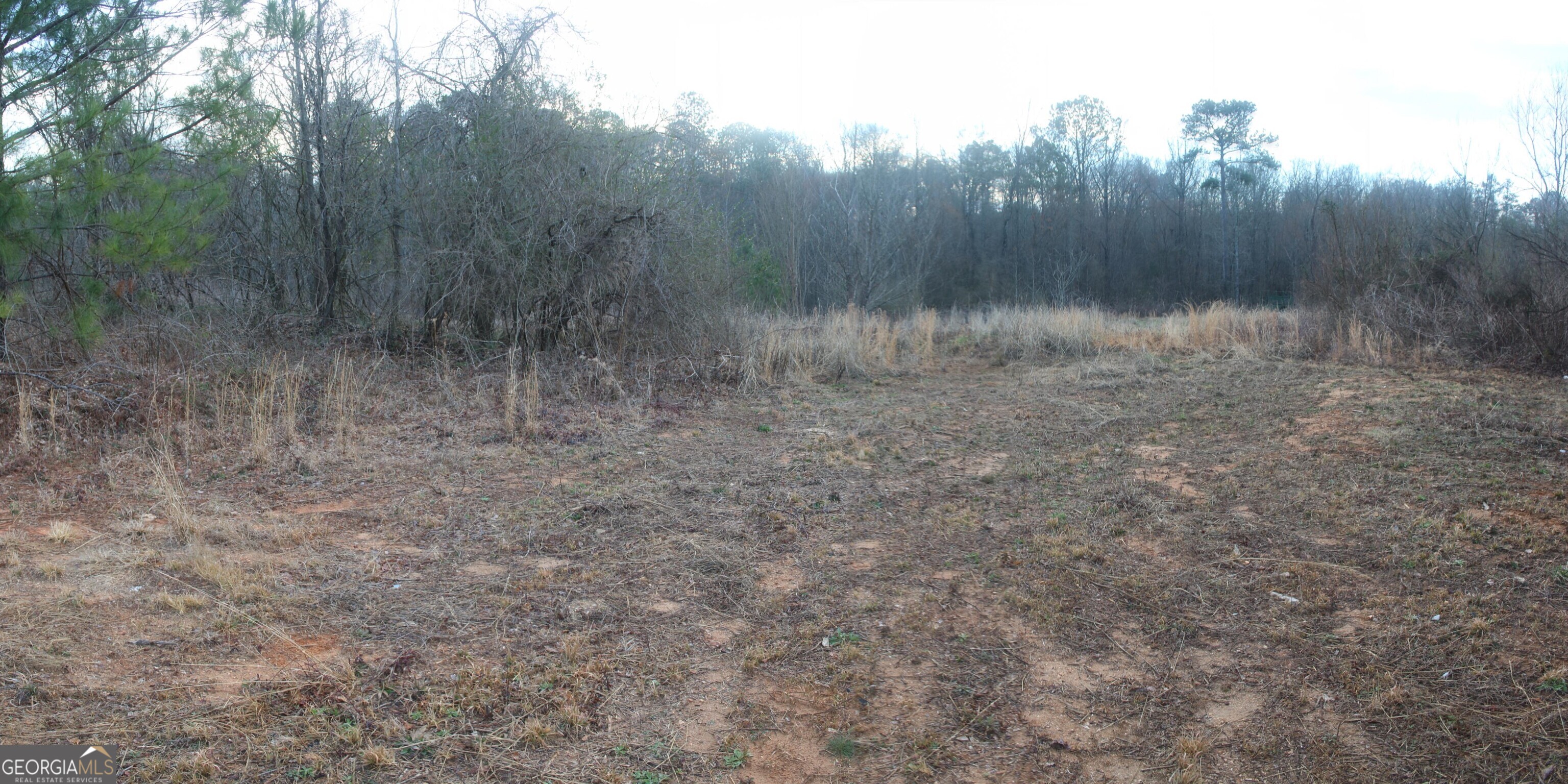 0 Upper Big Springs Road LaGrange, GA 30241 - Photo 2 of 21 a view of a yard with a tree