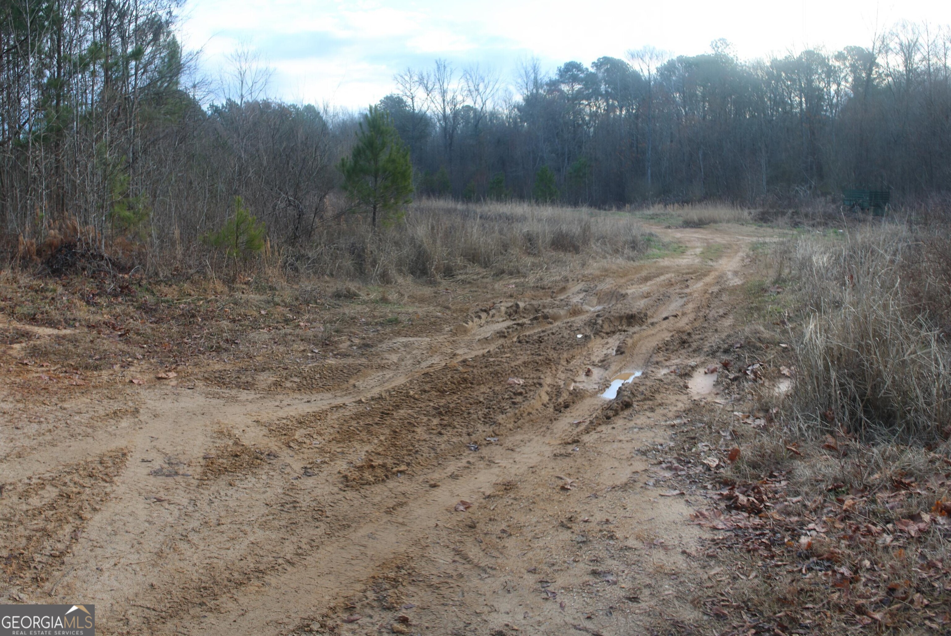 0 Upper Big Springs Road LaGrange, GA 30241 - Photo 4 of 21 a view of a dry yard with trees