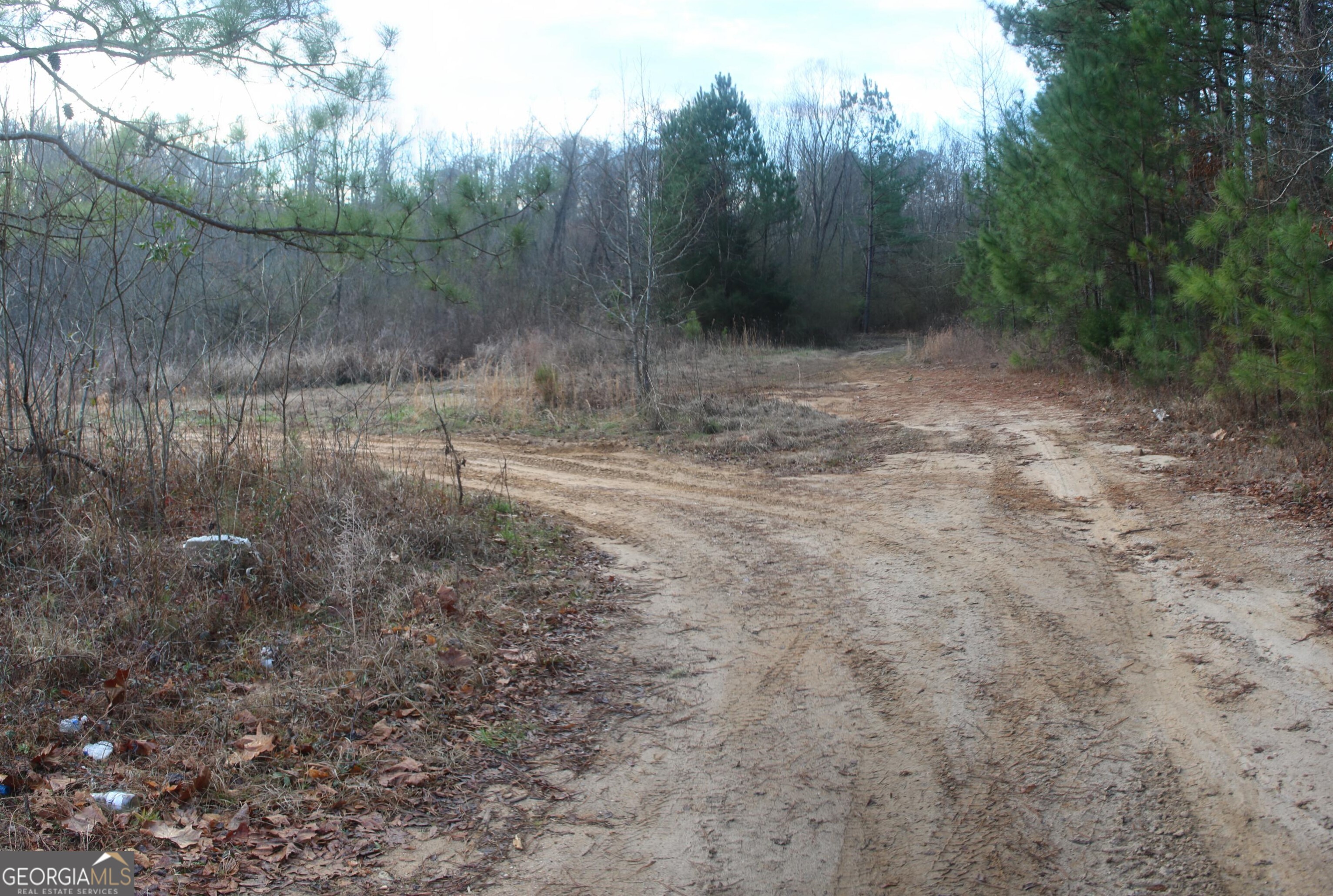 0 Upper Big Springs Road LaGrange, GA 30241 - Photo 5 of 21 a view of a forest with trees in the background