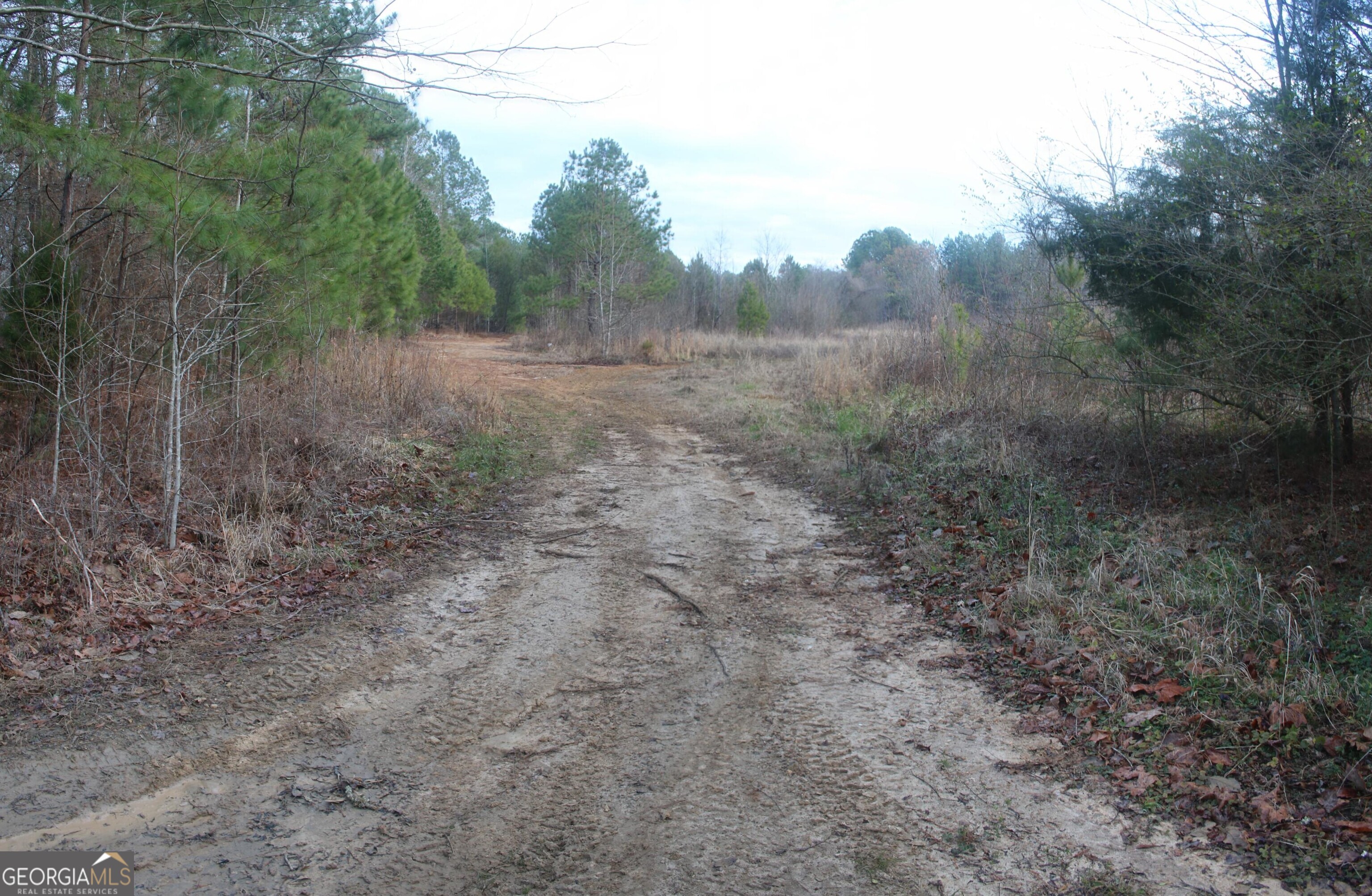 0 Upper Big Springs Road LaGrange, GA 30241 - Photo 6 of 21 a view of a forest with trees in the background