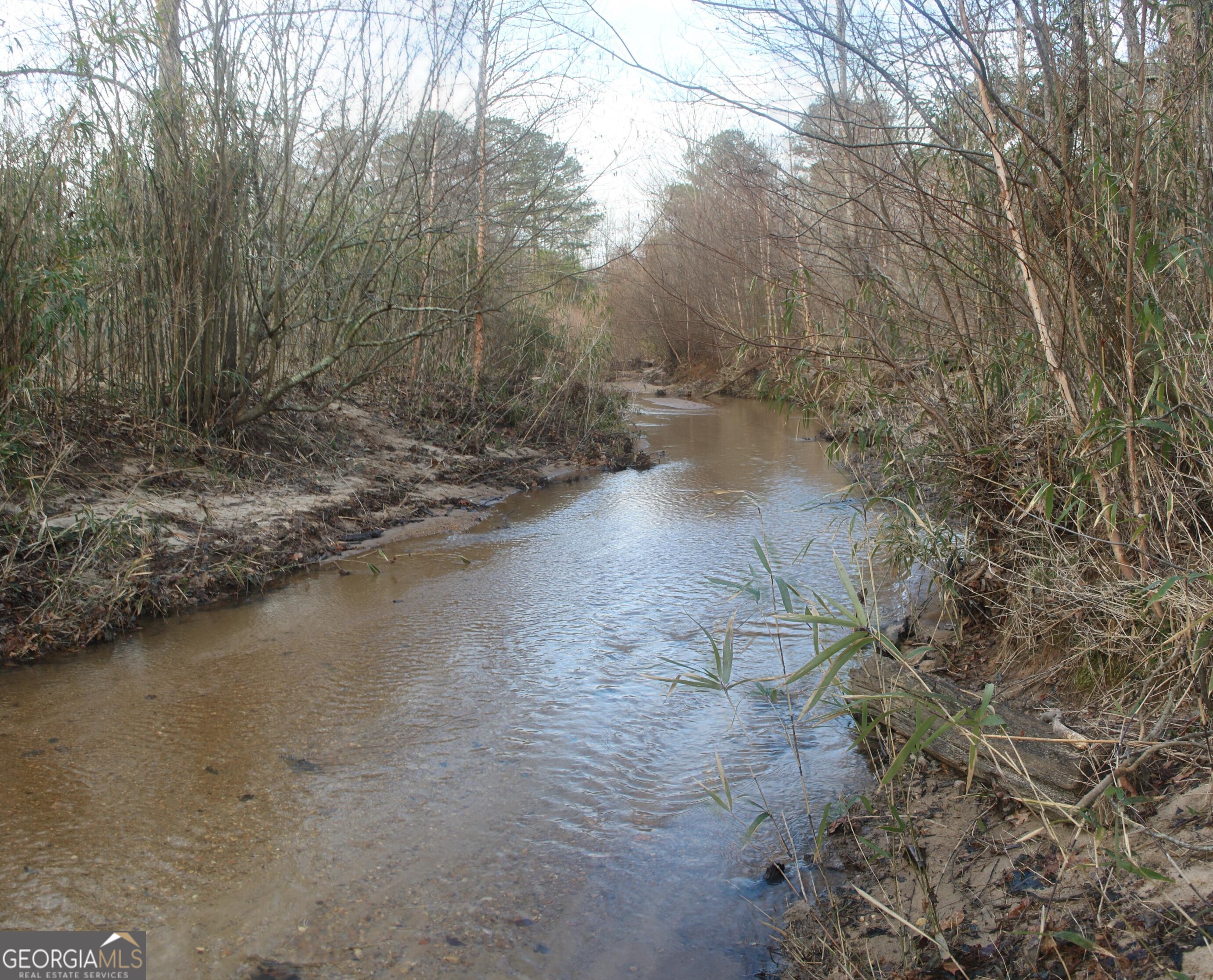 0 Upper Big Springs Road LaGrange, GA 30241 - Photo 10 of 21 a backyard of a house with lots of green space and fog