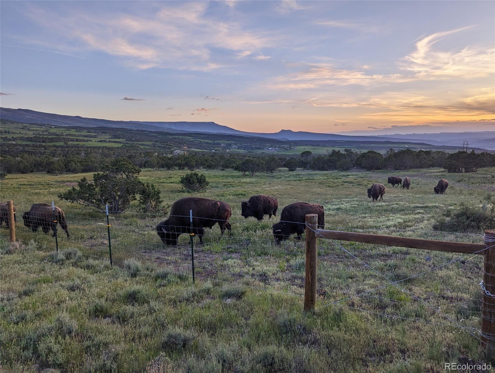 56001 Kk (1 Parcel) Road Molina, CO 81646 - Photo 43 of 43