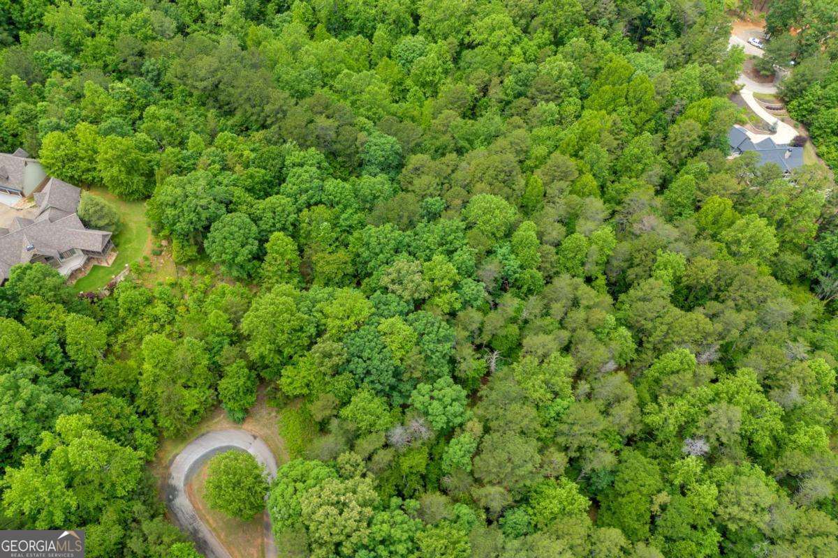 5 Edgewater Trail Toccoa, GA 30577 - Photo 5 of 12