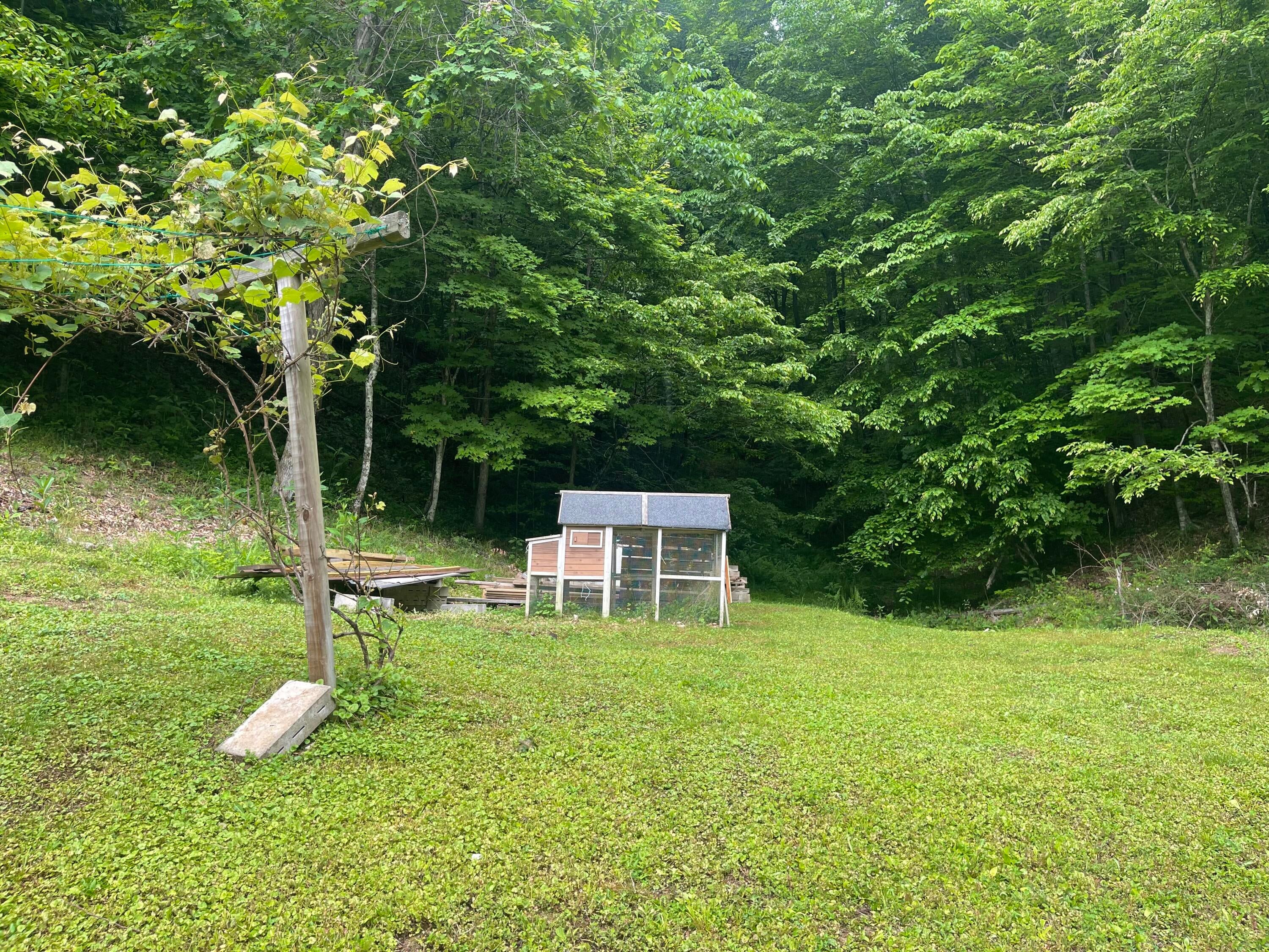 3593 Moore Frk Road Duck, WV 25063 - Photo 27 of 36 Gallery Image 27