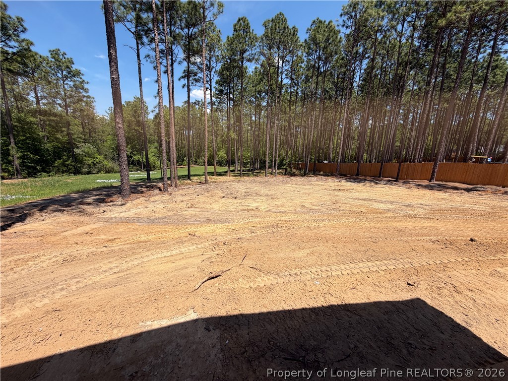 930 Rhum Drive Fayetteville, NC 28311 - Photo 48 of 49 a view of empty space with large trees