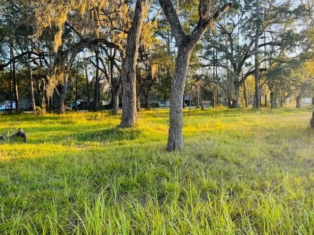 a view of a swimming pool with a yard and large trees