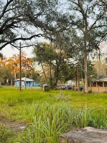 a view of a yard with an trees
