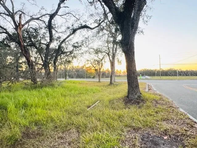 a view of a swimming pool with a yard