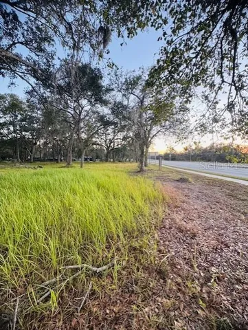 a view of an ocean beach