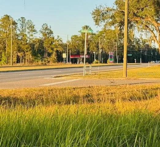 a view of an ocean with a large trees