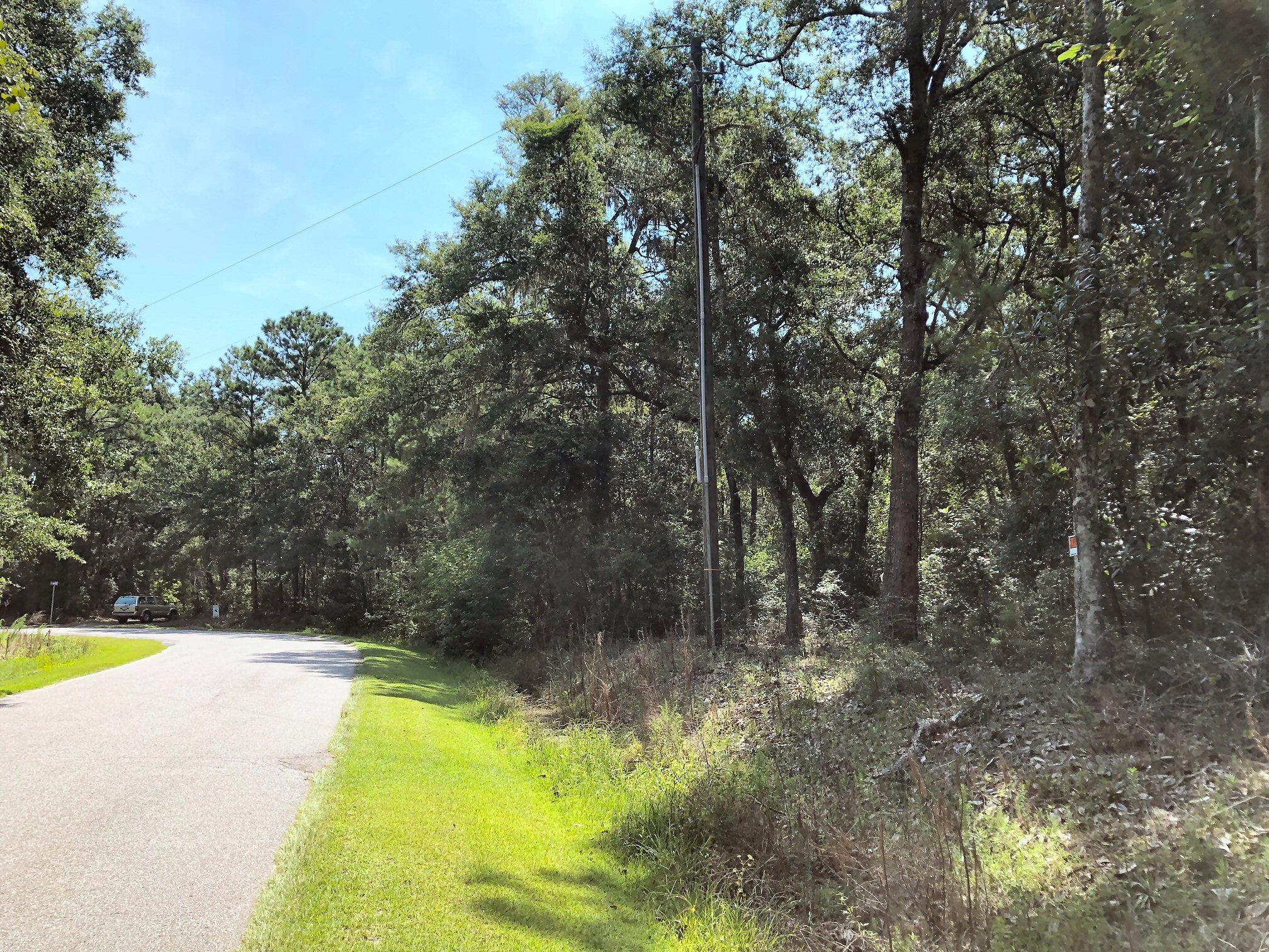 8167 Chisolm Plantation Road Edisto Island, SC 29438 - Photo 1 of 20 2 acre wooded lot!