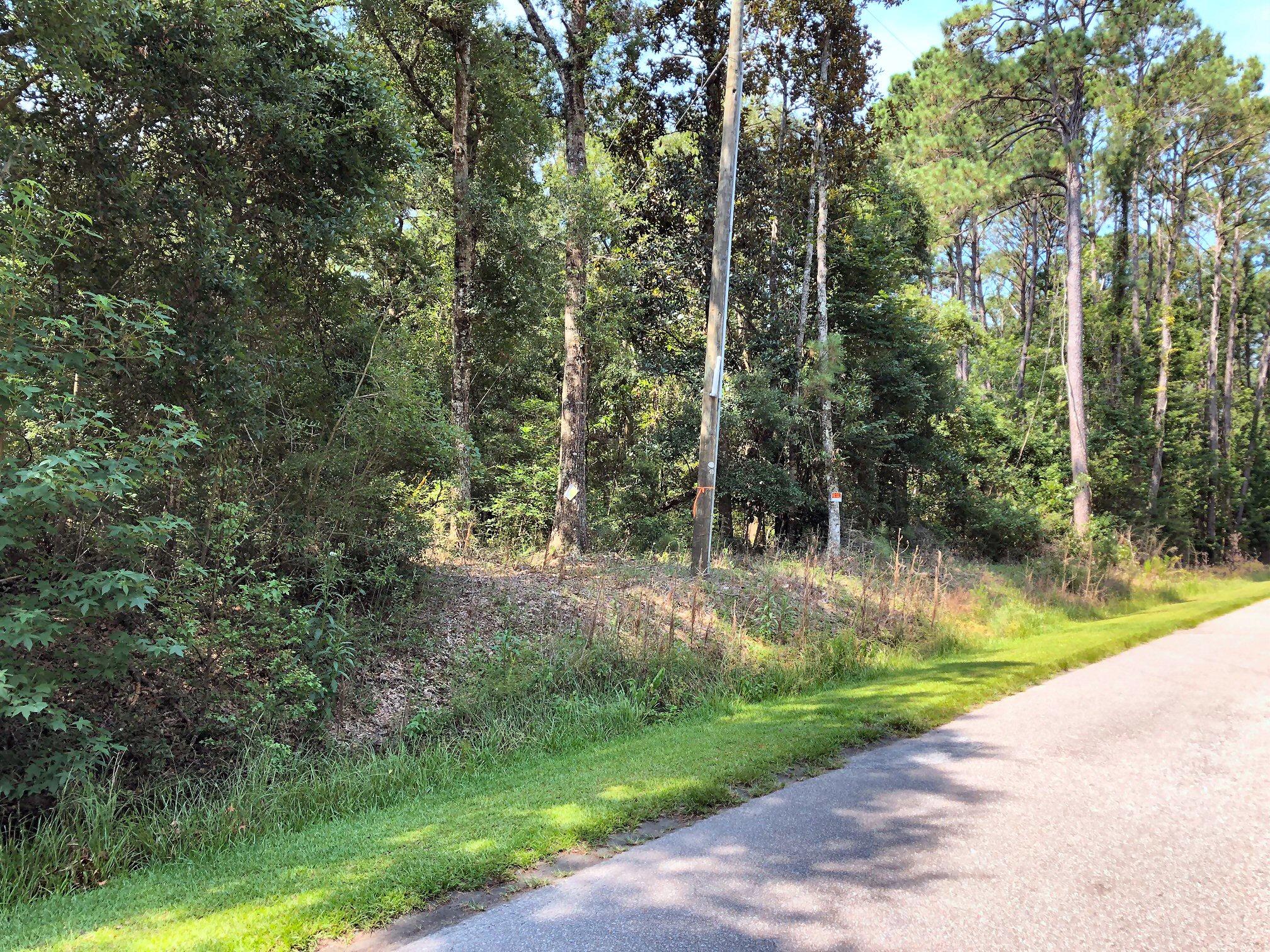 8167 Chisolm Plantation Road Edisto Island, SC 29438 - Photo 2 of 20 1.43 HIGH LAND!