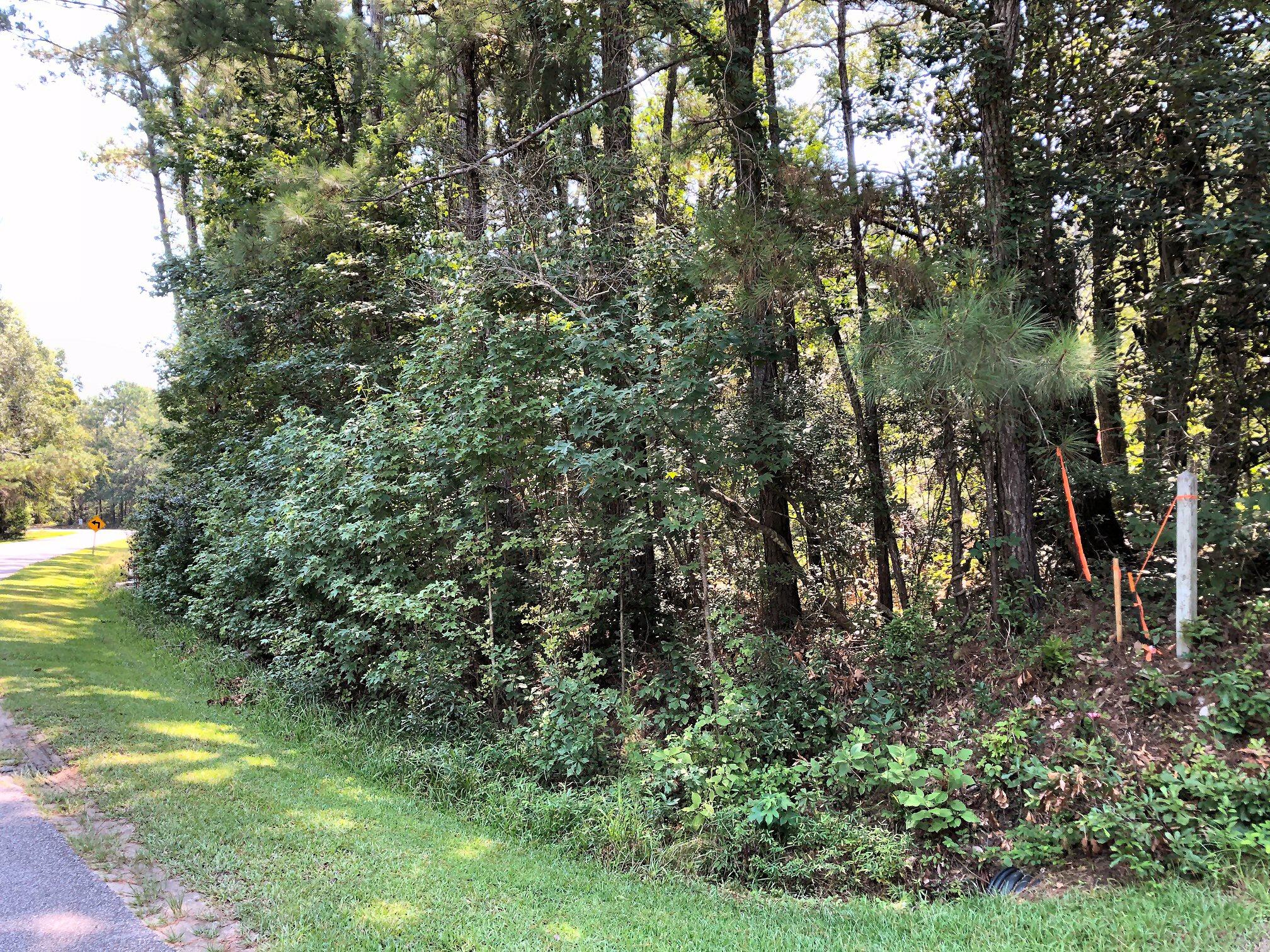 8167 Chisolm Plantation Road Edisto Island, SC 29438 - Photo 14 of 20 Right property corner!