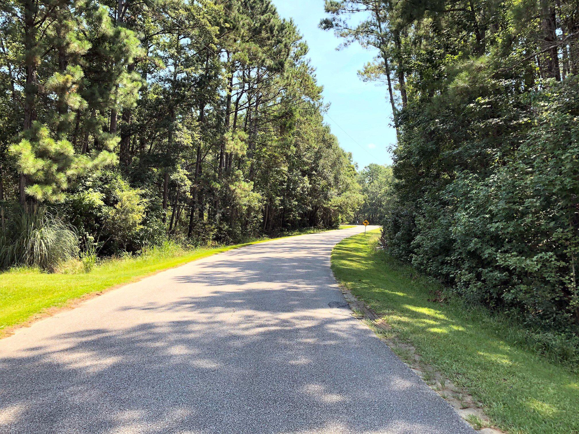 8167 Chisolm Plantation Road Edisto Island, SC 29438 - Photo 3 of 20 Very private!