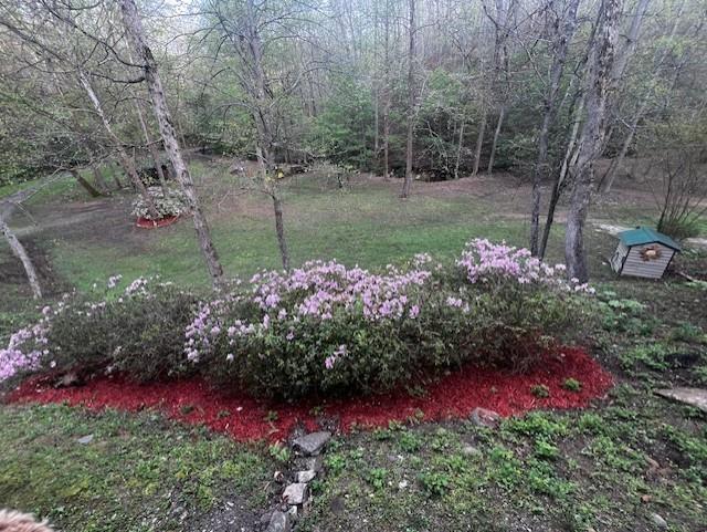 1117 Rambling Road Fairmount, GA 30139 - Photo 13 of 18