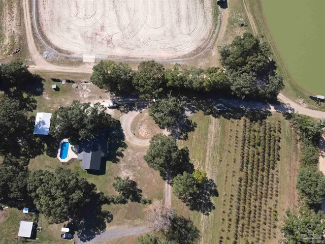 a view of yard with swimming pool and trees