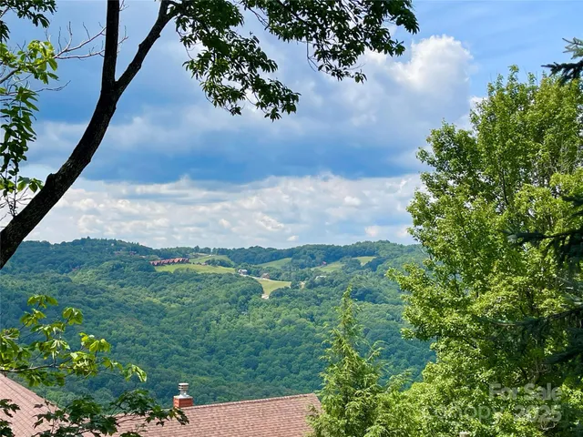 a view of a backyard of the house