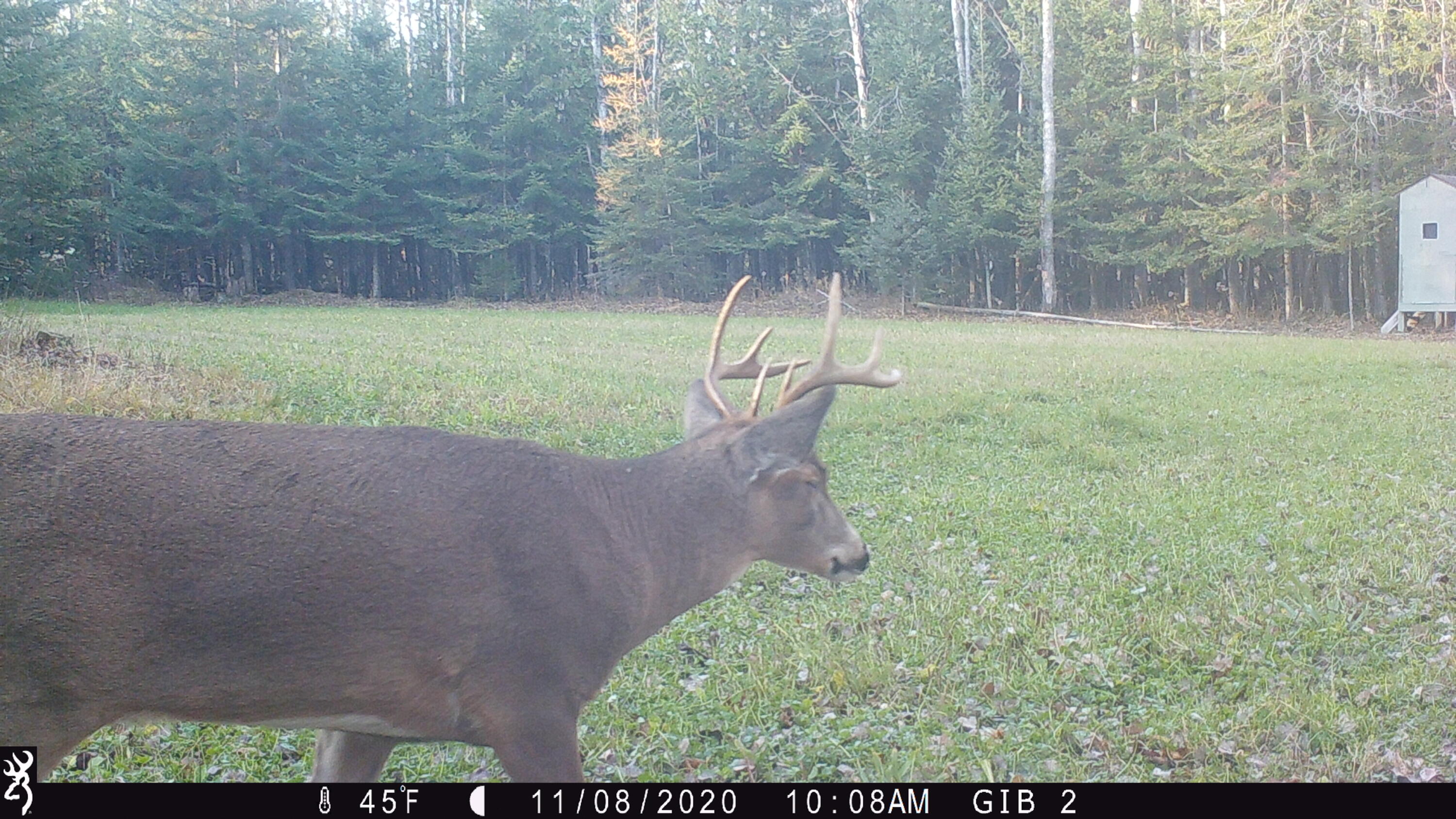 7660 Witt Road Alpena, MI 49707 - Photo 15 of 20 Gallery Image 15