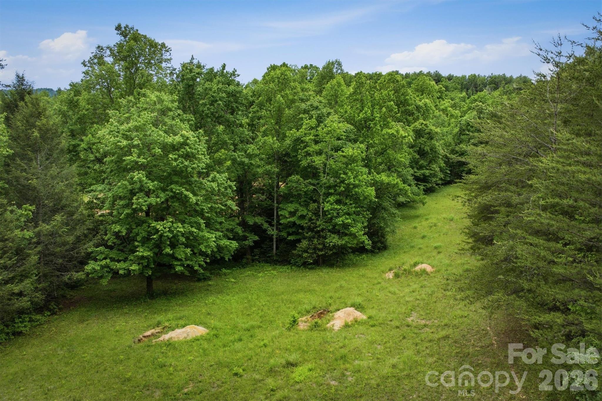 1350 Lavender Road Old Fort, NC 28762 - Photo 13 of 13