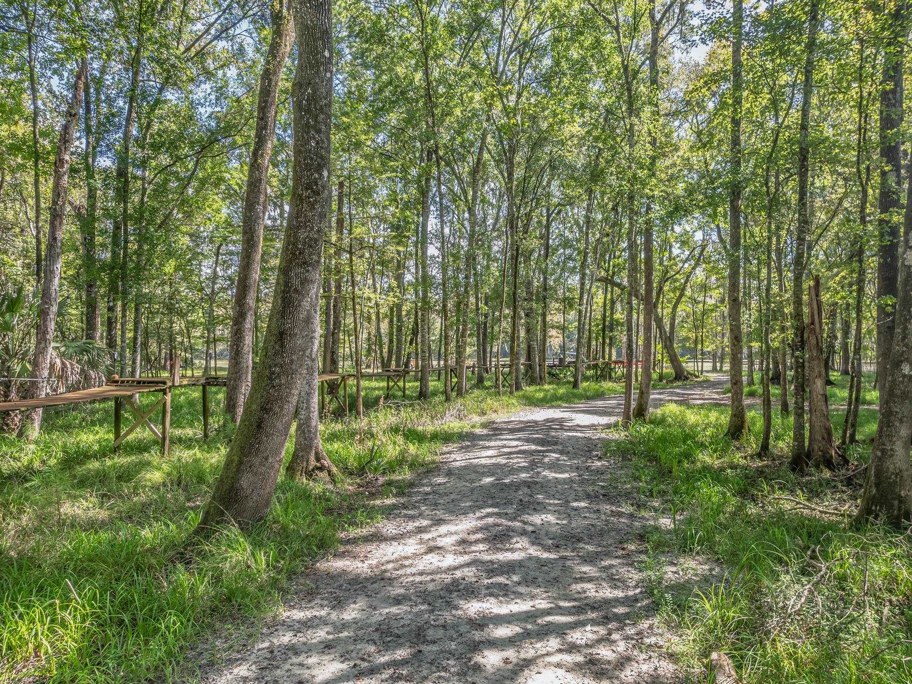 91 St Marks Rise Road Crawfordville, FL 32327 - Photo 13 of 44