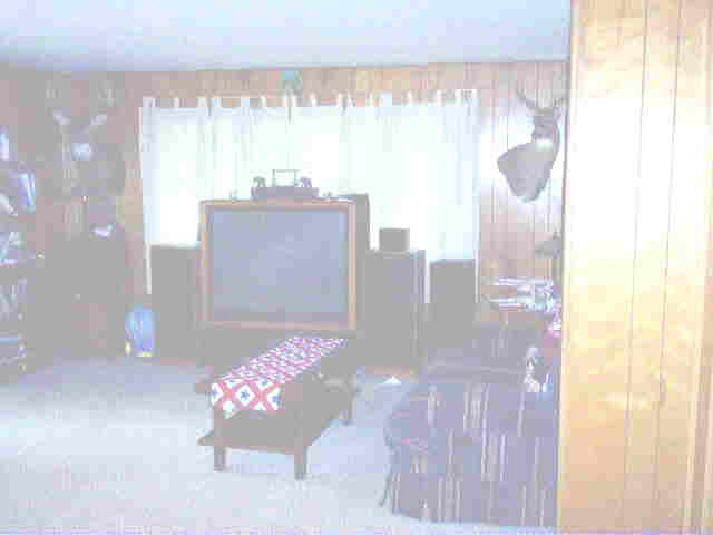 309 East Spring Street Lagrange, IN 46761 - Photo 2 of 6 Gallery Image 2