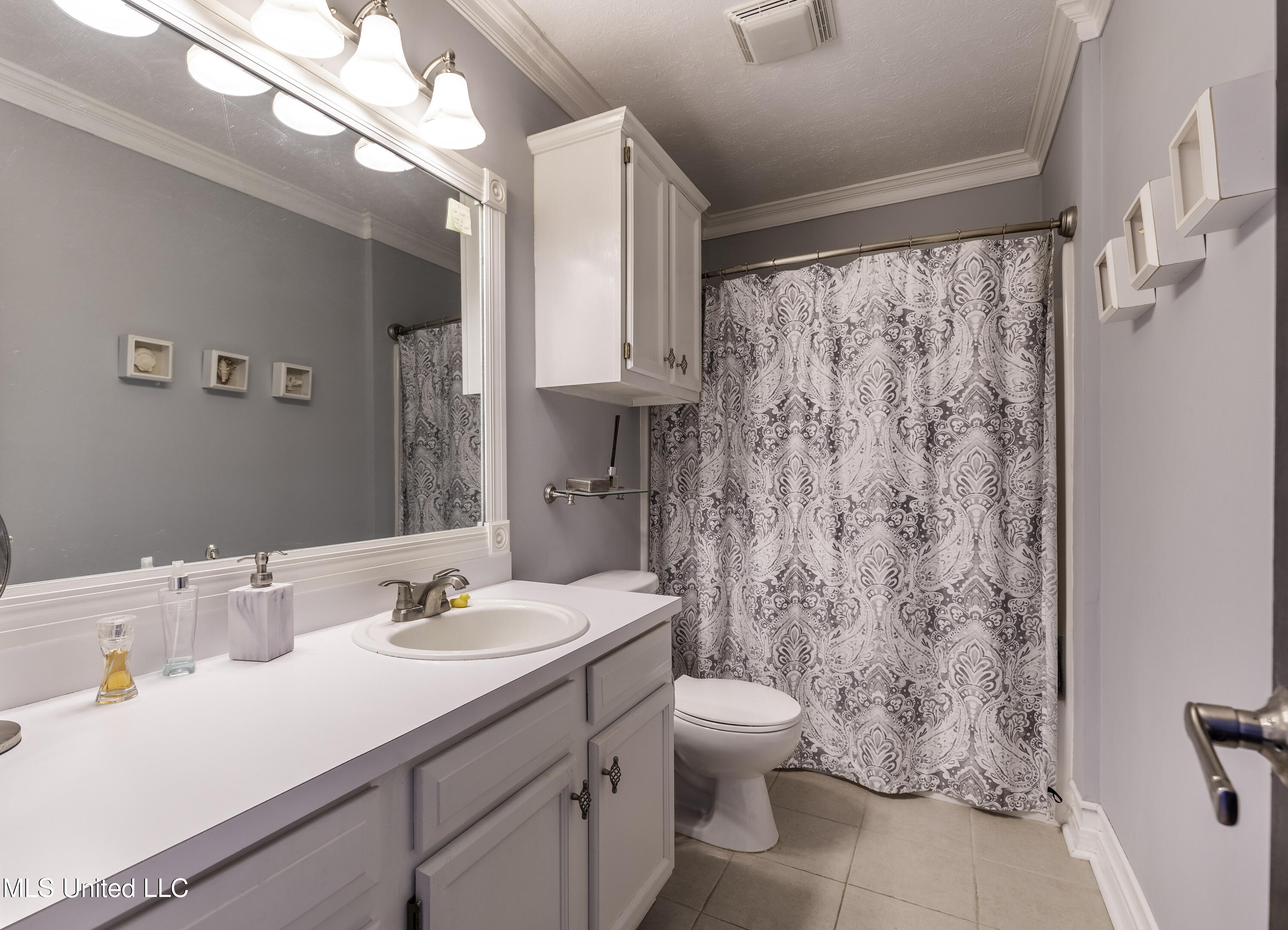 205 Kings Ridge Cove Brandon, MS 39042 - Photo 8 of 11 Downstairs Bath