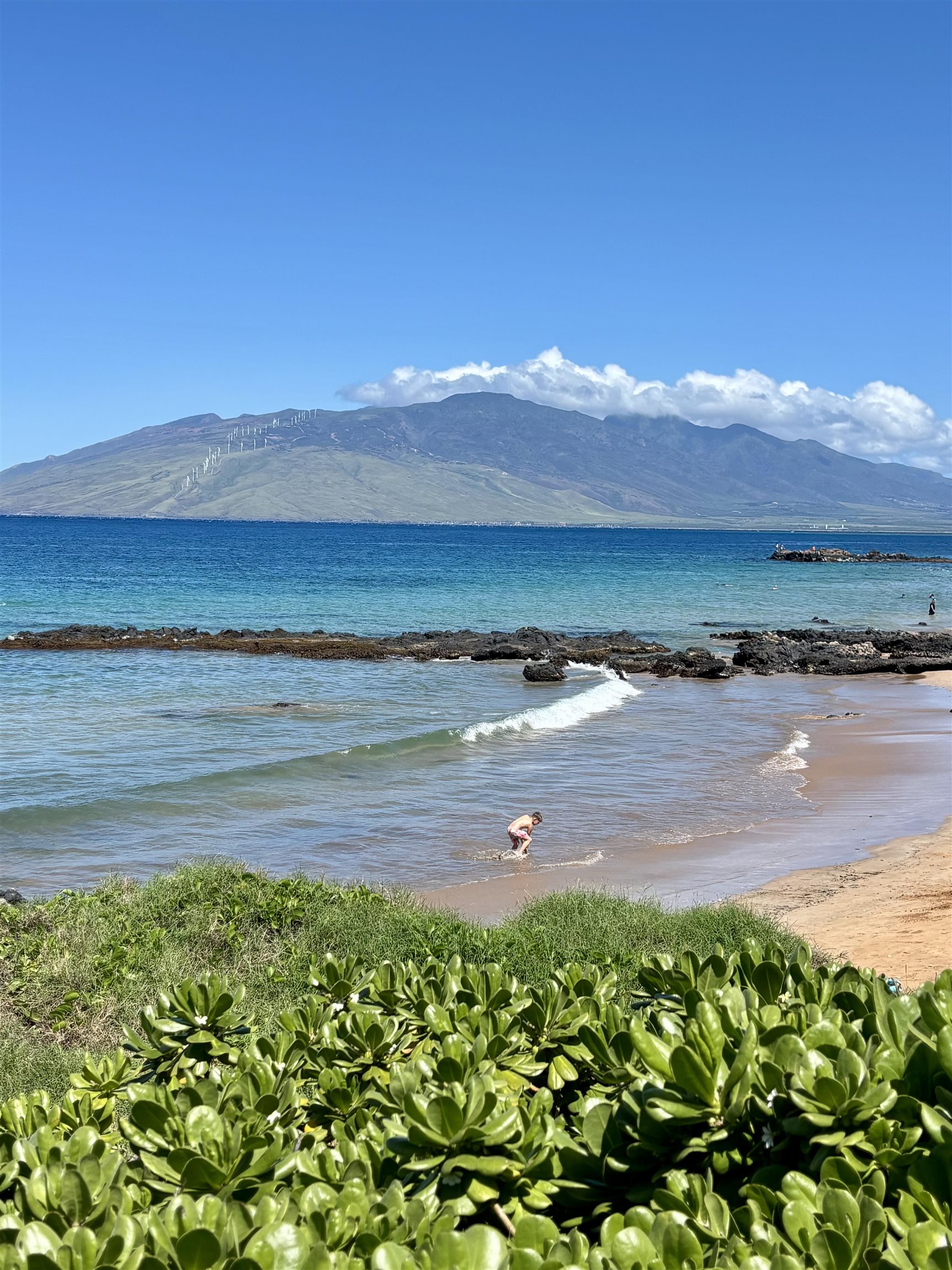 a view of an ocean beach and outdoor space