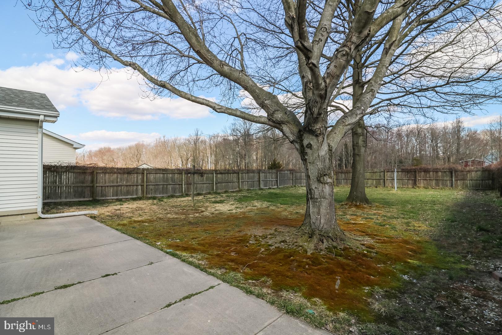 6498 West Denneys Road Dover, DE 19901 - Photo 26 of 30 Backyard