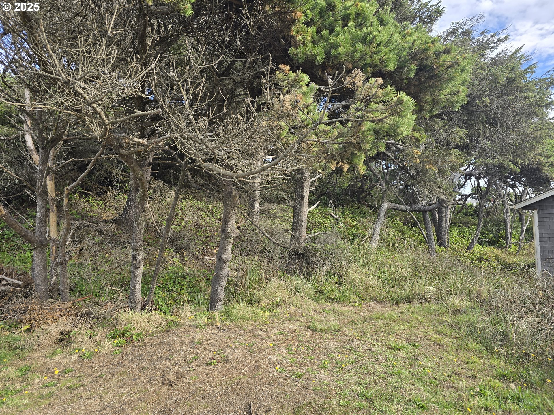 0 Lookout Street, Unit 2 Florence, OR 97439 - Photo 3 of 13