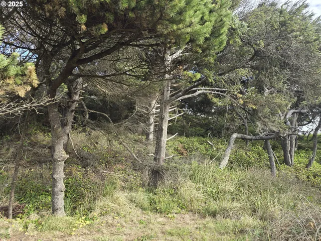 $120,000 | 0 Lookout Street, Unit 2, Florence, OR 97439