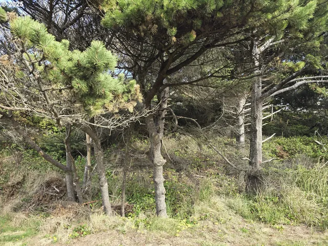 $120,000 | 0 Lookout Street, Unit 2, Florence, OR 97439