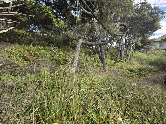 $120,000 | 0 Lookout Street, Unit 2, Florence, OR 97439