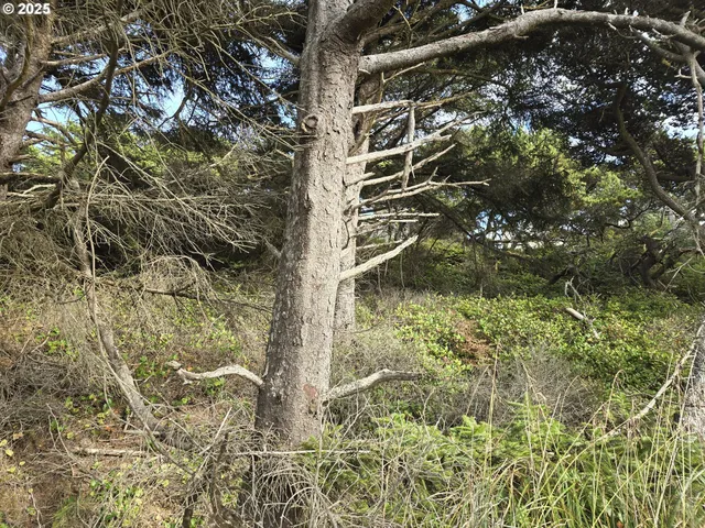 $120,000 | 0 Lookout Street, Unit 2, Florence, OR 97439