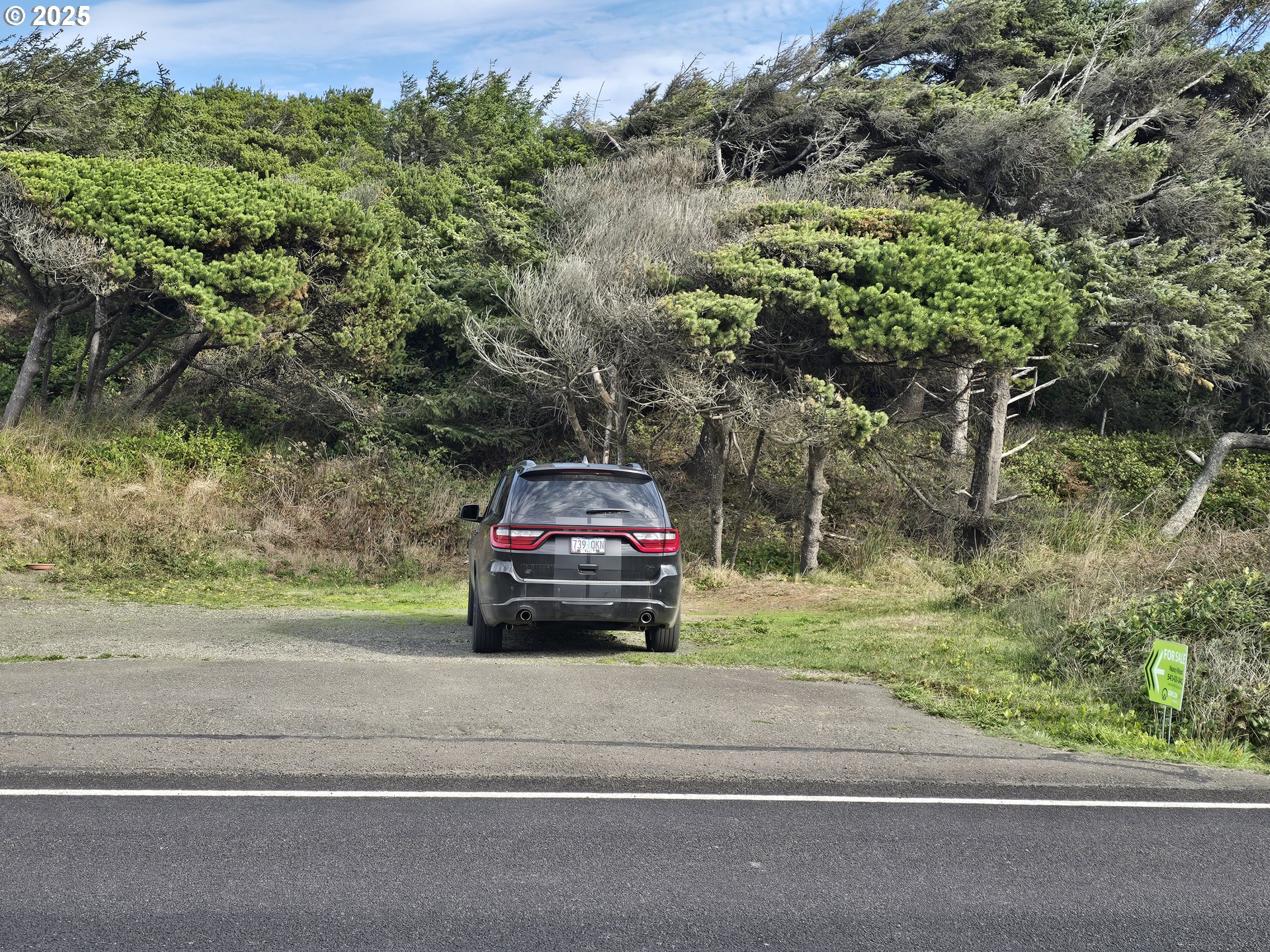 0 Lookout Street, Unit 2 Florence, OR 97439 - Photo 9 of 13