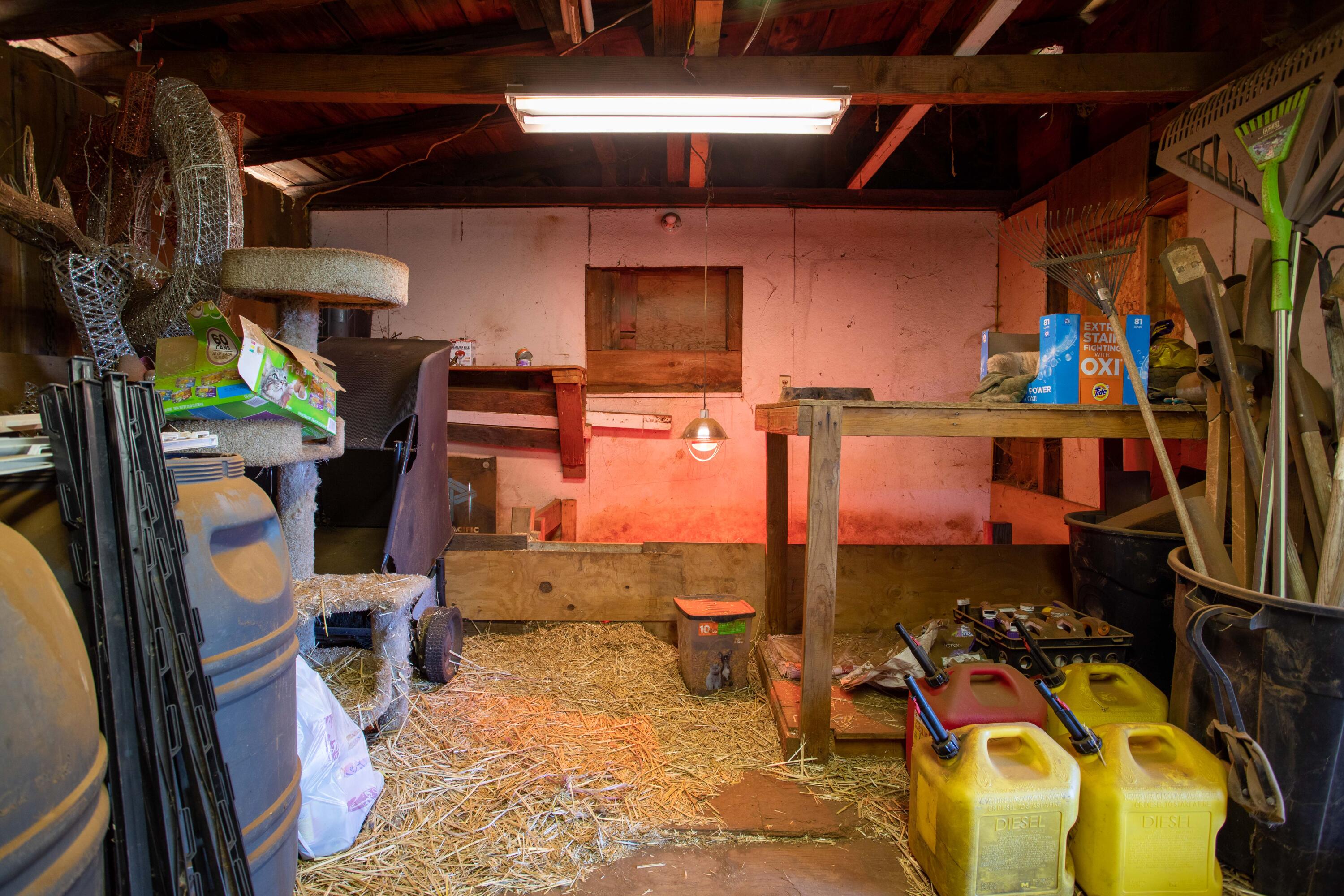 28093 Highway 44 Shingletown, CA 96088 - Photo 40 of 51 254A7550