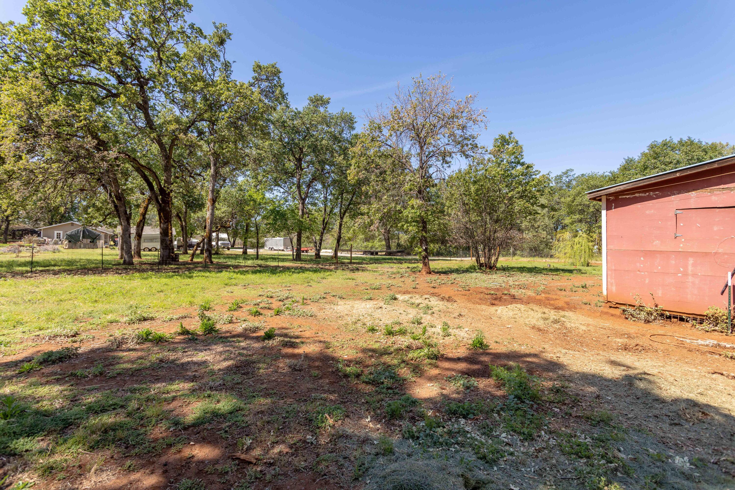 28093 Highway 44 Shingletown, CA 96088 - Photo 42 of 51 254A7604