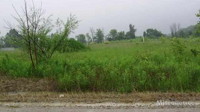 0 Kimball Road Allenton, MI 48002 - Photo 6 of 6 31151891-5.JPG