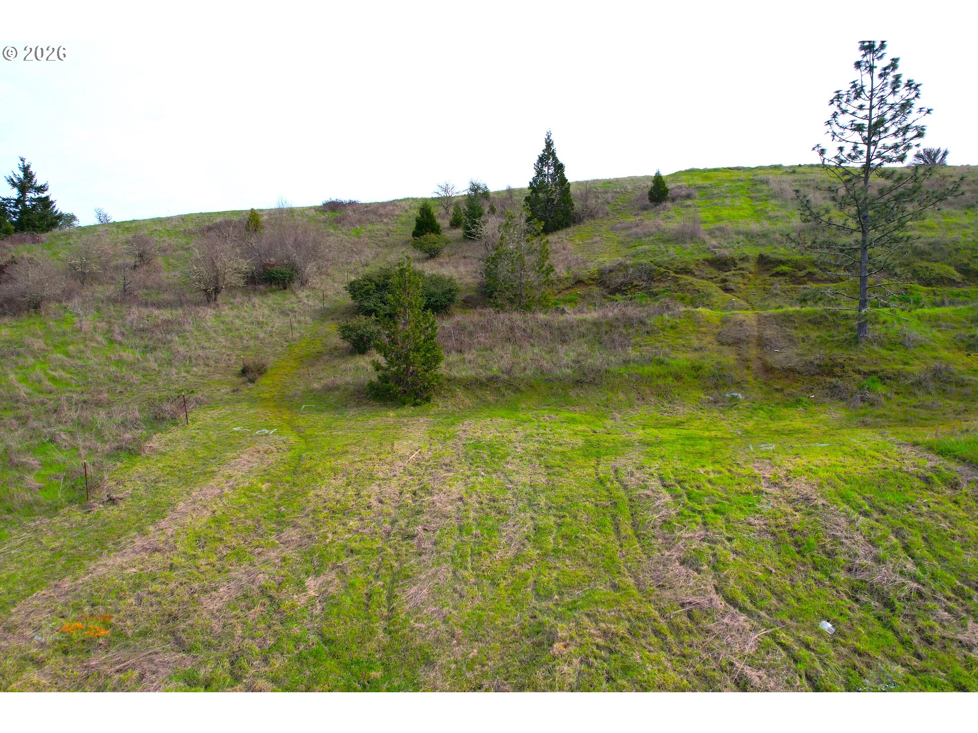 195 Northeast Sandy Terrace Myrtle Creek, OR 97457 - Photo 4 of 9 a view of a field with an ocean