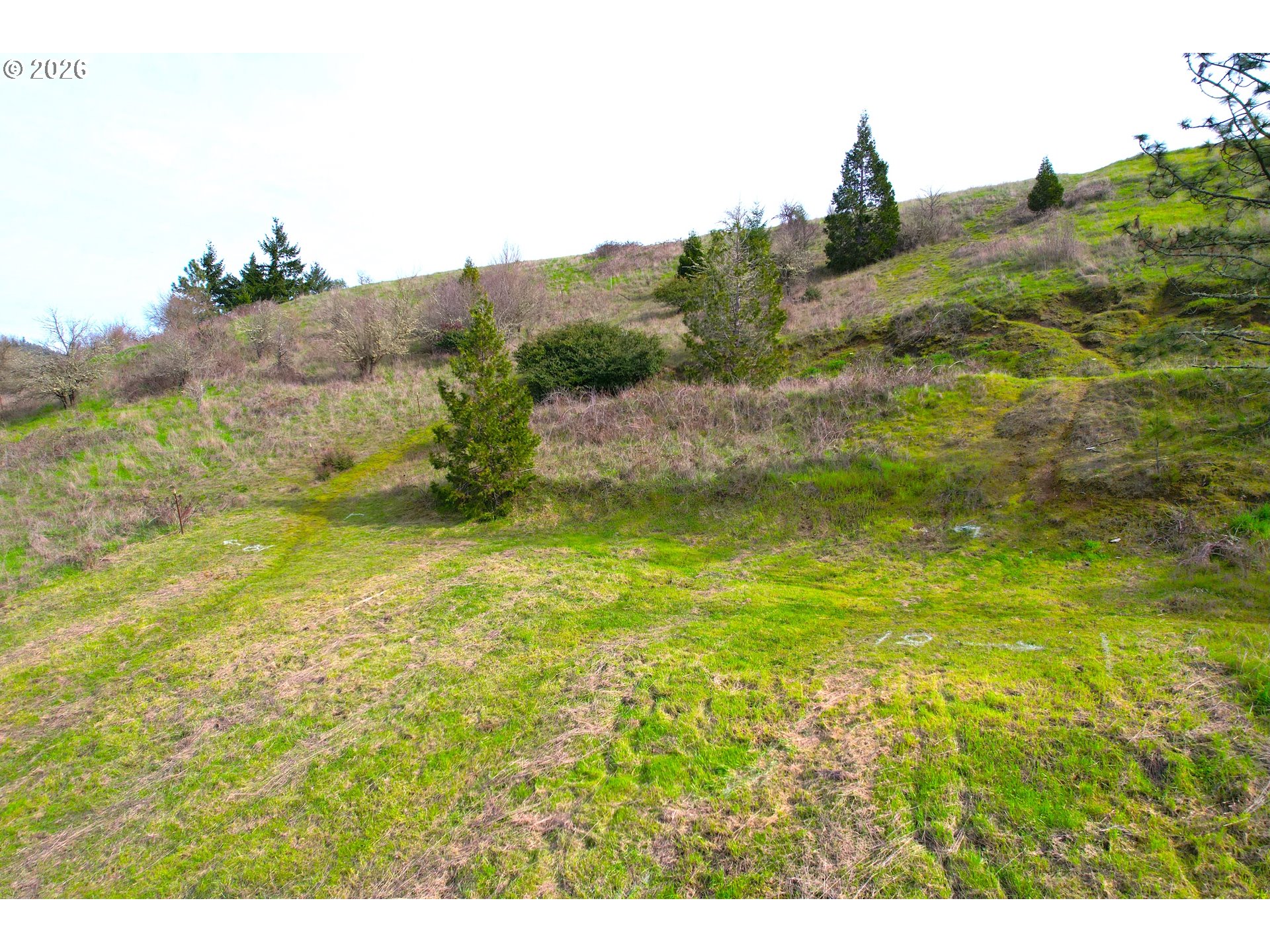 195 Northeast Sandy Terrace Myrtle Creek, OR 97457 - Photo 8 of 9 a view of a big yard with an outdoor space