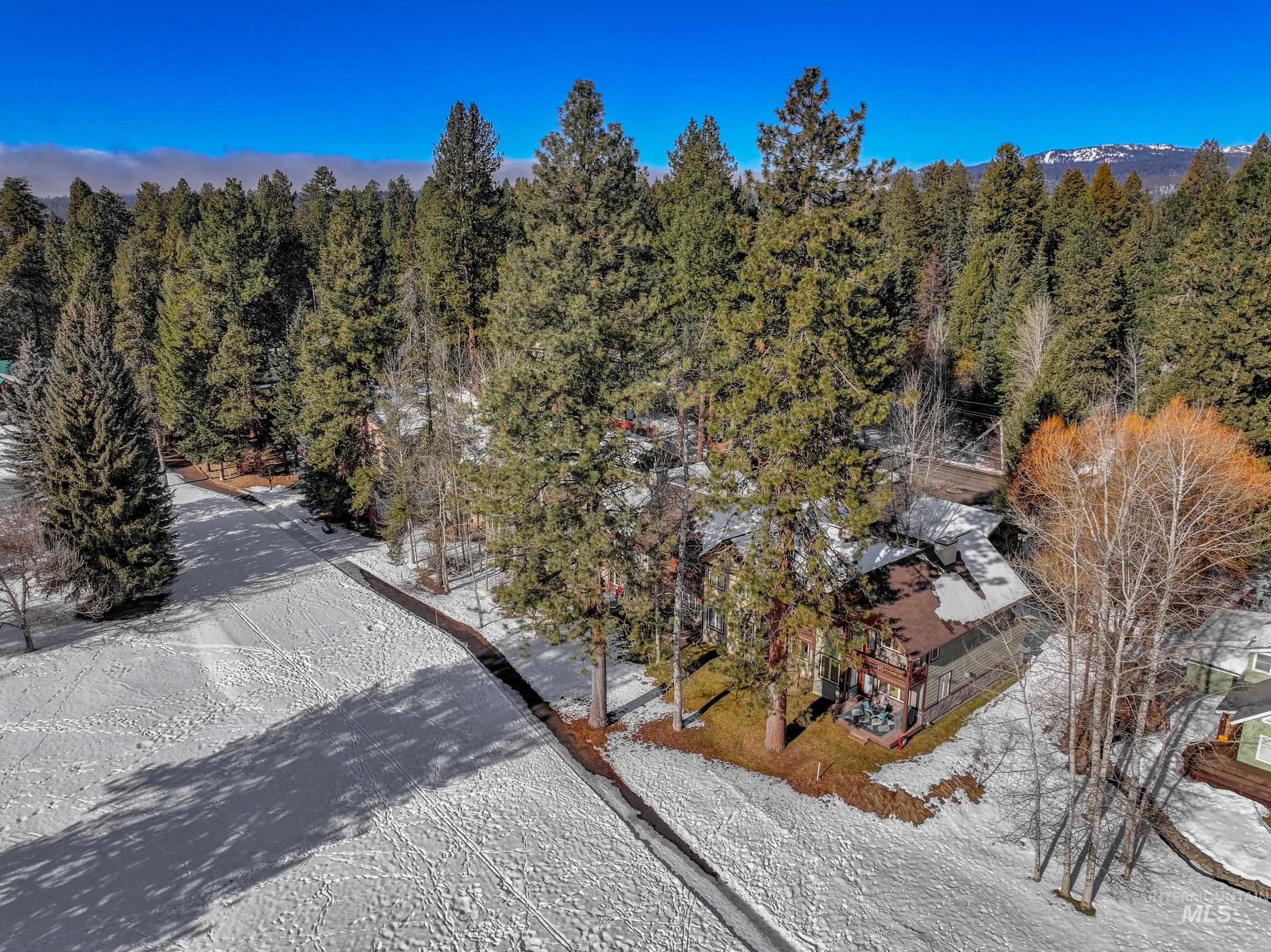 722 Lick Creek Road, Unit 8 McCall, ID 83638 - Photo 46 of 50 Drone / aerial view