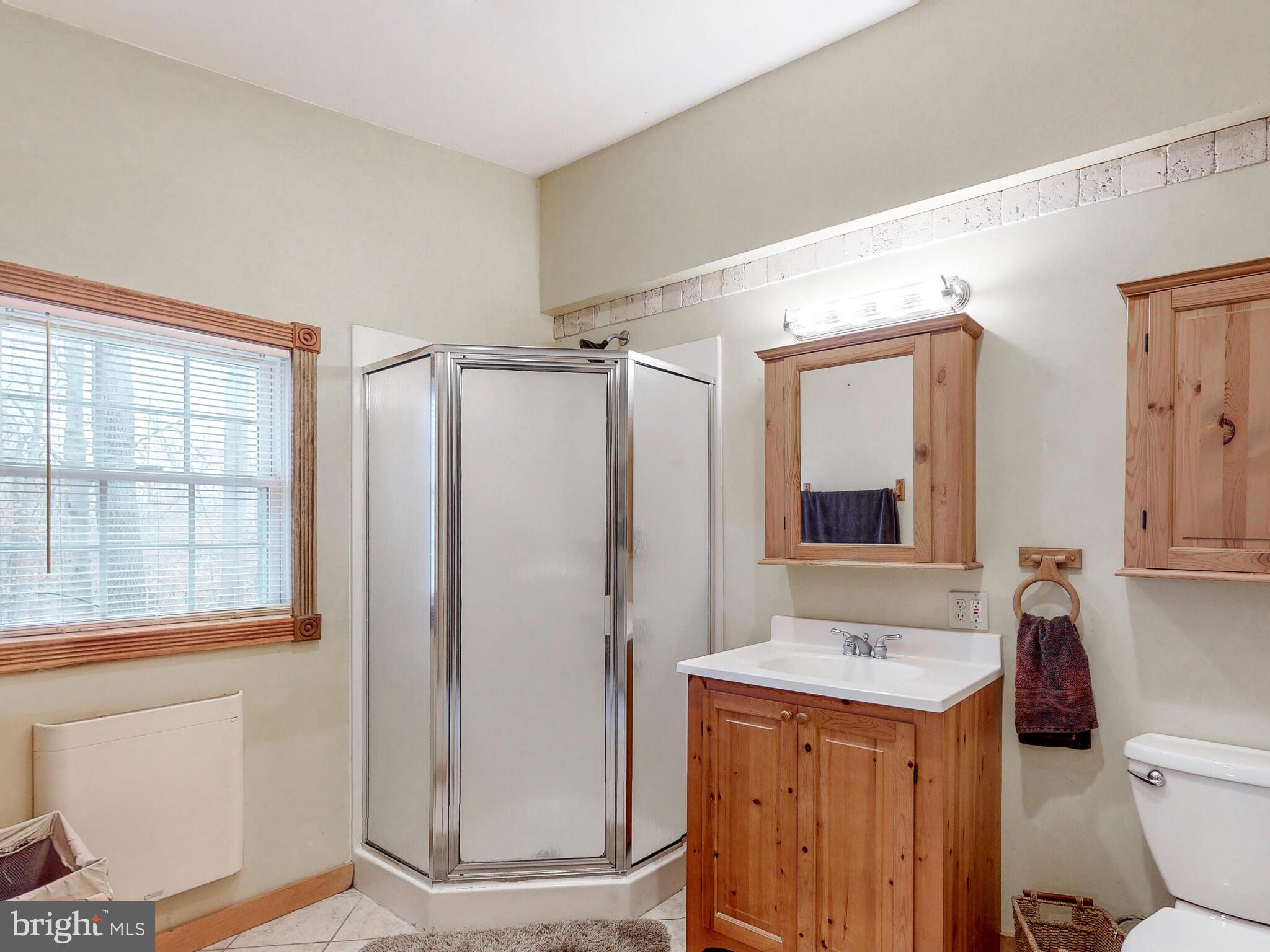 3121 Tucker Road Street, MD 21154 - Photo 25 of 50 lower level primary bathroom