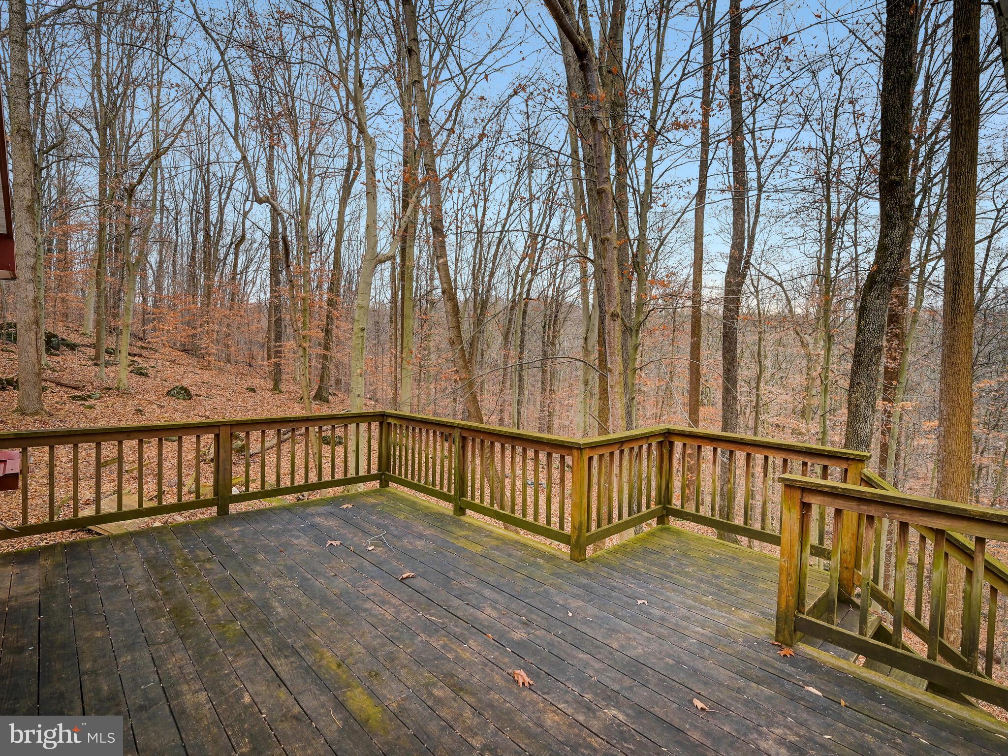 3121 Tucker Road Street, MD 21154 - Photo 42 of 50 Gallery Image 42